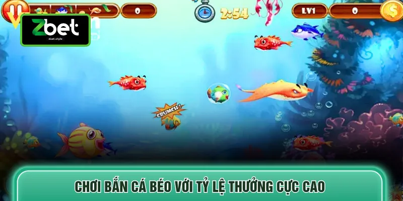 Chơi bắn cá béo với tỷ lệ thưởng cực cao