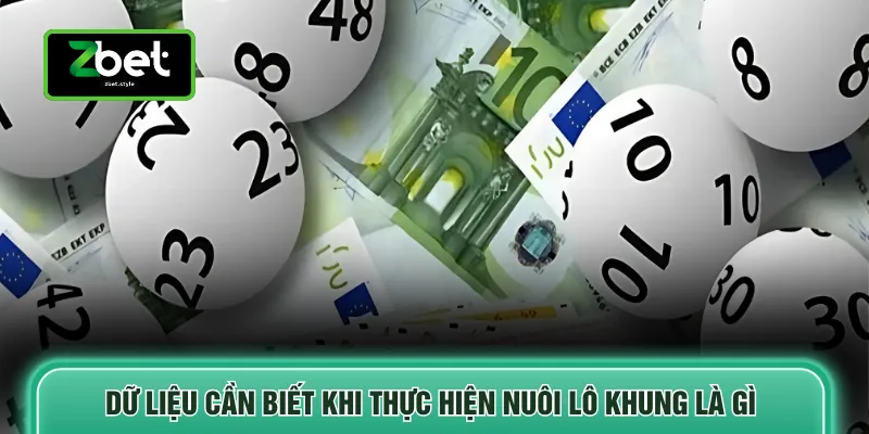 Dữ liệu cần biết khi thực hiện nuôi lô khung là gì