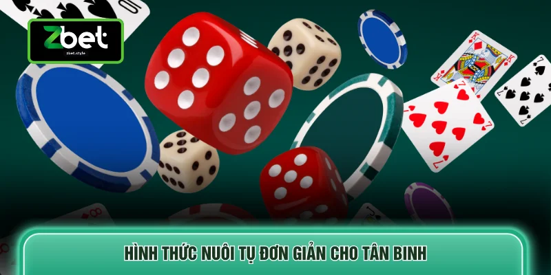 Hình thức nuôi tụ đơn giản cho tân binh