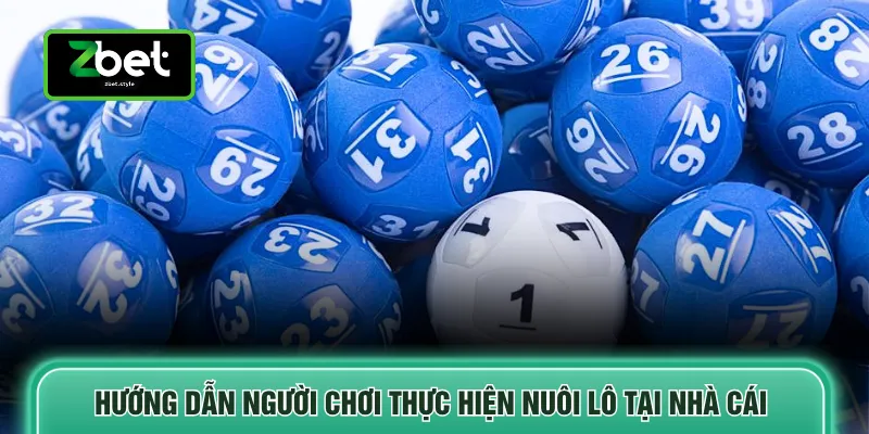Hướng dẫn người chơi thực hiện nuôi lô tại nhà cái