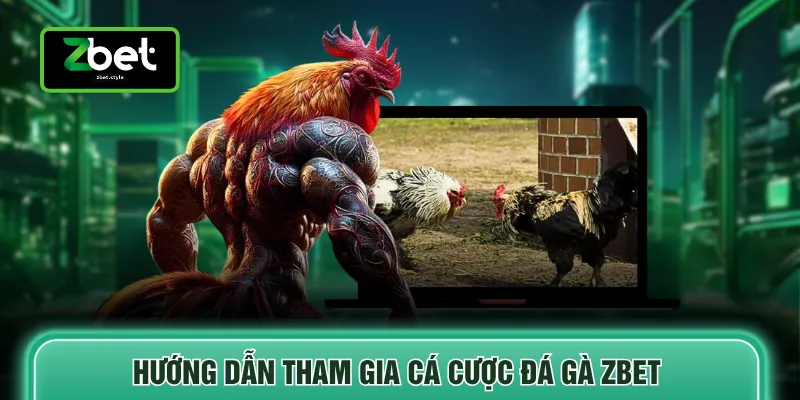 Hướng dẫn tham gia cá cược đá gà ZBET