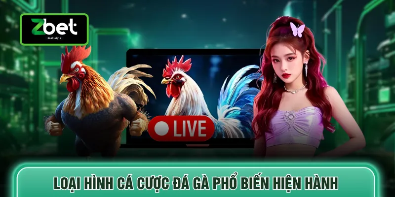 Loại hình cá cược đá gà phổ biến hiện hành