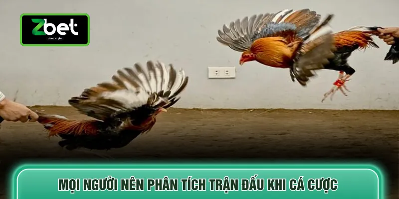 Mọi người nên phân tích trận đấu khi cá cược