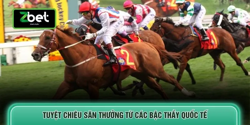 Tuyệt chiêu săn thưởng từ các bậc thầy quốc tế